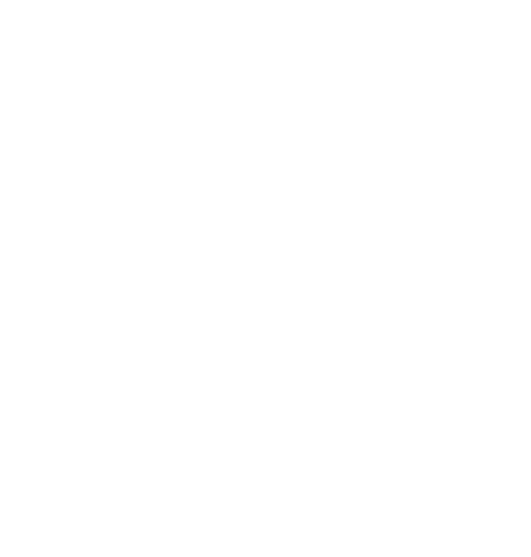 Logo VFLIT Sureté blanc