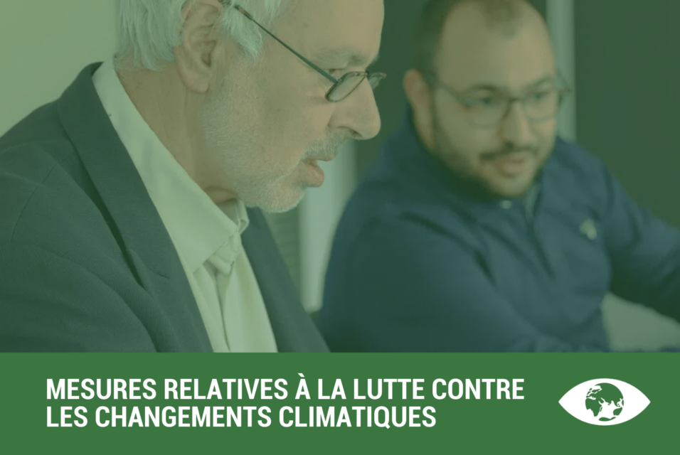 MESURES RELATIVES À LA LUTTE CONTRE LES CHANGEMENTS CLIMATIQUES
