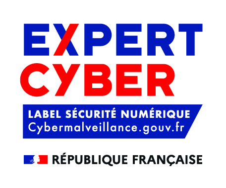 Vflit est Expert cyber